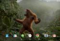 Dancing Monkey HD Live Wall screenshot 8