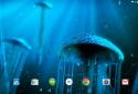 Night Light Jelly Fish LWP 3D screenshot 7