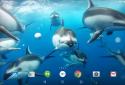 3D Ocean Dolphin Live Wall screenshot 8