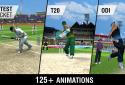 World Cricket Championship 2 screenshot 12