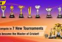 World Cricket Championship 2 screenshot 4