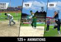 World Cricket Championship 2 screenshot 6