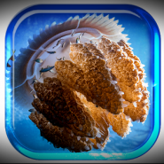 Medusa Jellyfish LiveWallpaper