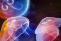 Medusa Jellyfish LiveWallpaper screenshot 1