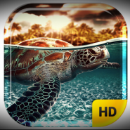 Turtle Ocean Water Pool