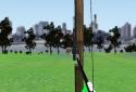 Core Archery screenshot 13