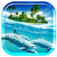 Dolphin Ocean Ripple Effect