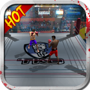 King of Boxing（3D）