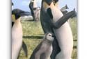 Arctic Penguin Live Wallpaper screenshot 1