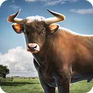Bull Simulator 3D