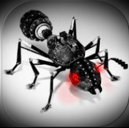 Ant - Maniac