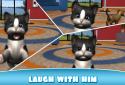 Daily Kitten : virtual cat pet screenshot 4