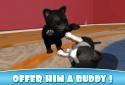 Daily Kitten : virtual cat pet screenshot 5