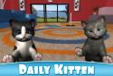 Daily Kitten : virtual cat pet screenshot 6