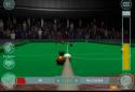 International Snooker League screenshot 16