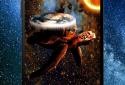 Star Turtle Pro Live Wallpaper screenshot 4