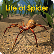 Life of the Spider