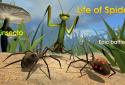 Life of the Spider screenshot 7