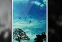 Blue Sky Free Live Wallpaper screenshot 2
