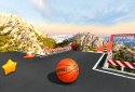 BasketRoll 3D Rolling Ball screenshot 3