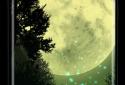 Fantasy Night Forest Live WP screenshot 1