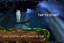 Owl's Midnight Journey screenshot 1