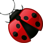 Weight loss in 30 days SIT 30!