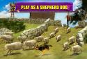 Shepherd Dog Simulator 3D screenshot 10