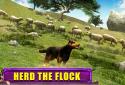 Shepherd Dog Simulator 3D screenshot 12