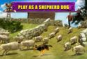 Shepherd Dog Simulator 3D screenshot 5