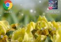 Iris Flowers Live Wallpaper screenshot 1