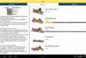 8 Minutes Abs Workout screenshot 16