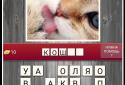Guess the animal on the photo screenshot 2