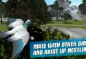 City Bird Pigeon Simulator 3D screenshot 4