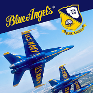 Blue Angels - Aerobatic SIM