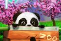 The Daily Panda : virtual pet screenshot 6