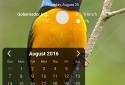 Month Calendar Widget screenshot 1