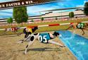 Dog Race & Stunts 2016 screenshot 8