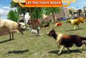 Street Dog Simulator 3D screenshot 13