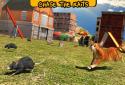 Street Cat Sim 2016 screenshot 12