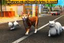 Street Cat Sim 2016 screenshot 13