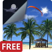 Beach Palms Live Wallpaper 3D