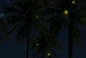 Beach Palms Live Wallpaper 3D screenshot 4