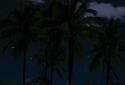 Beach Palms Live Wallpaper 3D screenshot 7