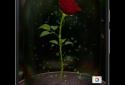 Enchanted Rose screenshot 1