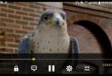 321 Media Player screenshot 1