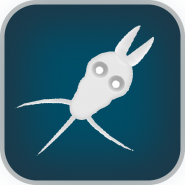 Evolution of Species: Spore