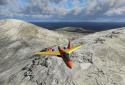 PicaSim: Free flight simulator screenshot 8
