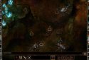 Icewind Dale: Enhanced Edition screenshot 13