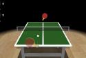 Table Tennis Master 3D screenshot 1